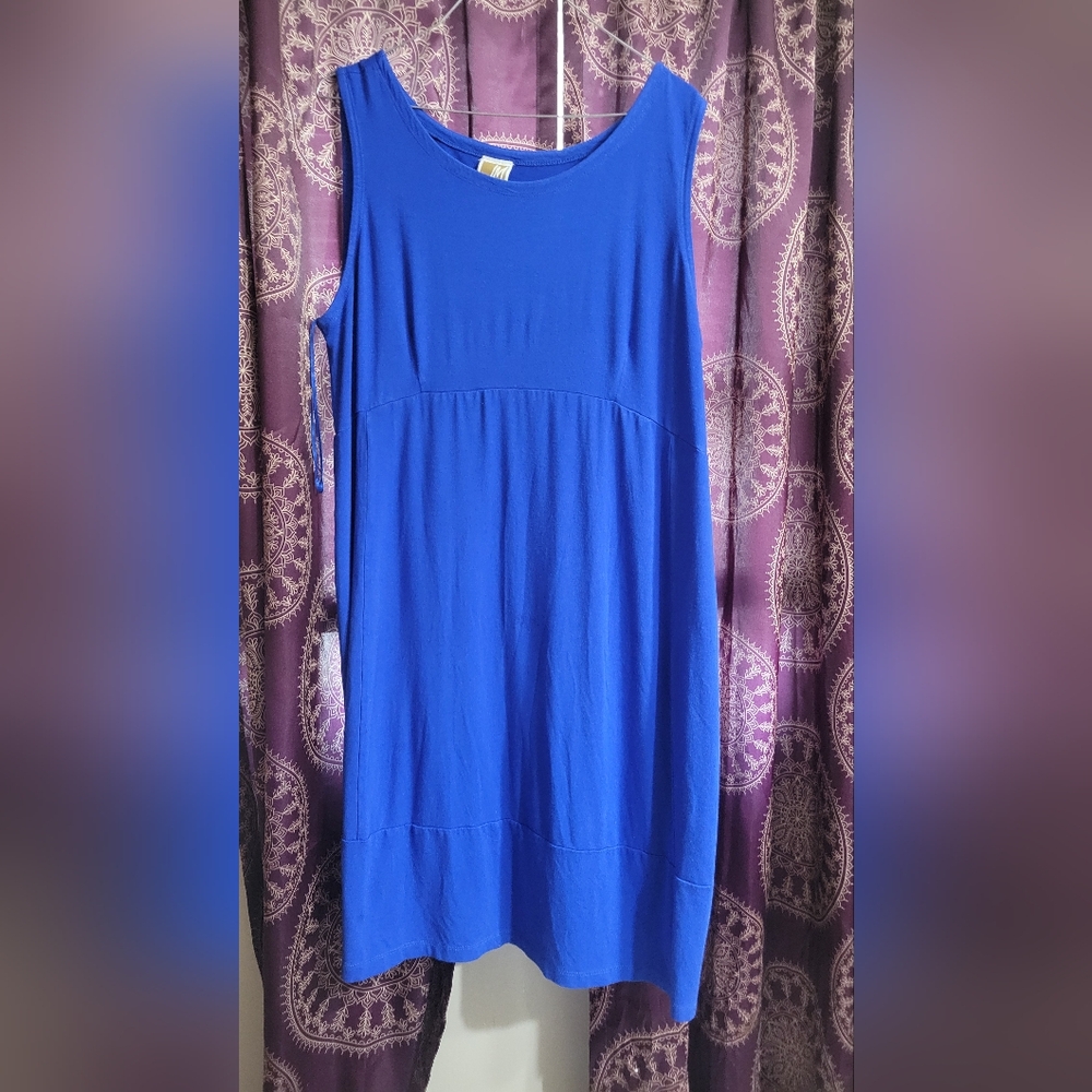 Blue Sleeveless Dress